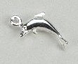 Nagel Piercing Delphin Silber